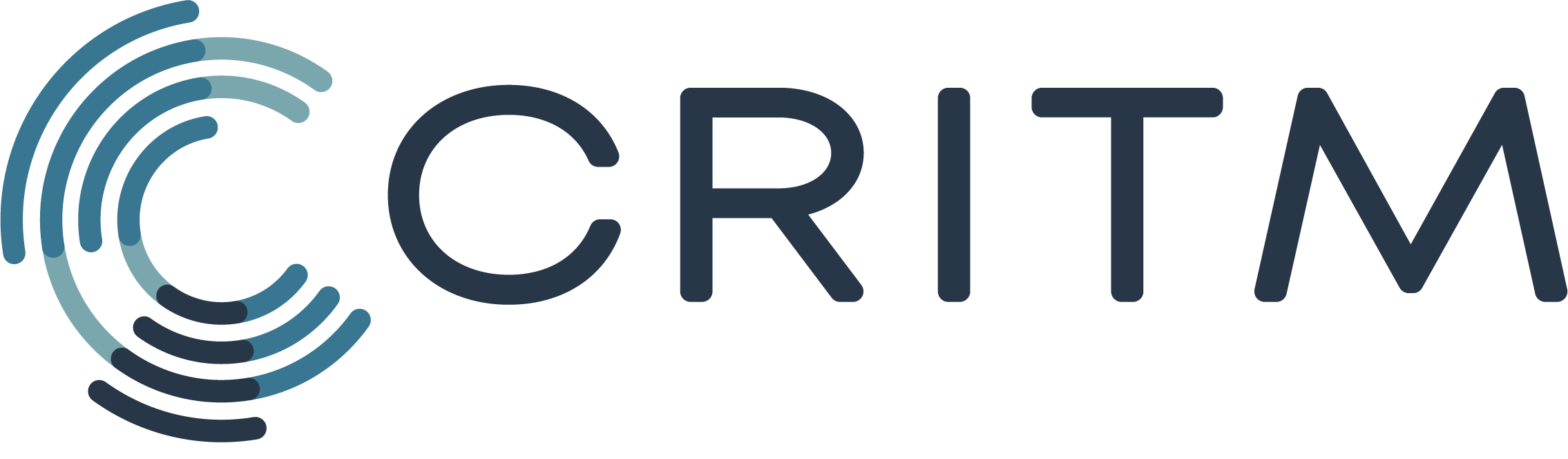 CRITM_Logo_CMYK_SEUL_FINAL-05